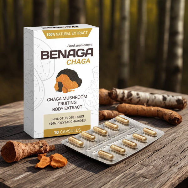 Benaga Chaga
