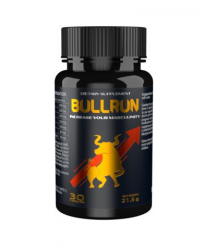 Bullrun low