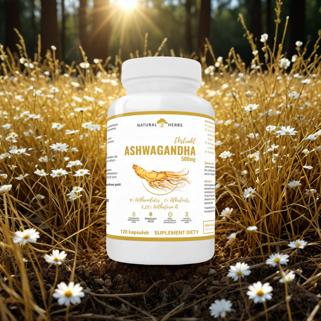 Ashwagandha Ekstrakt 500 mg Alto Pharma - Wspomaga układ nerwowy - 120 kapsułek