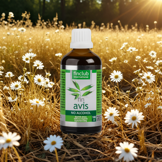Avis Finclub - Ekstrakt z kiełków owsa, nie zawiera alkoholu - 100 ml