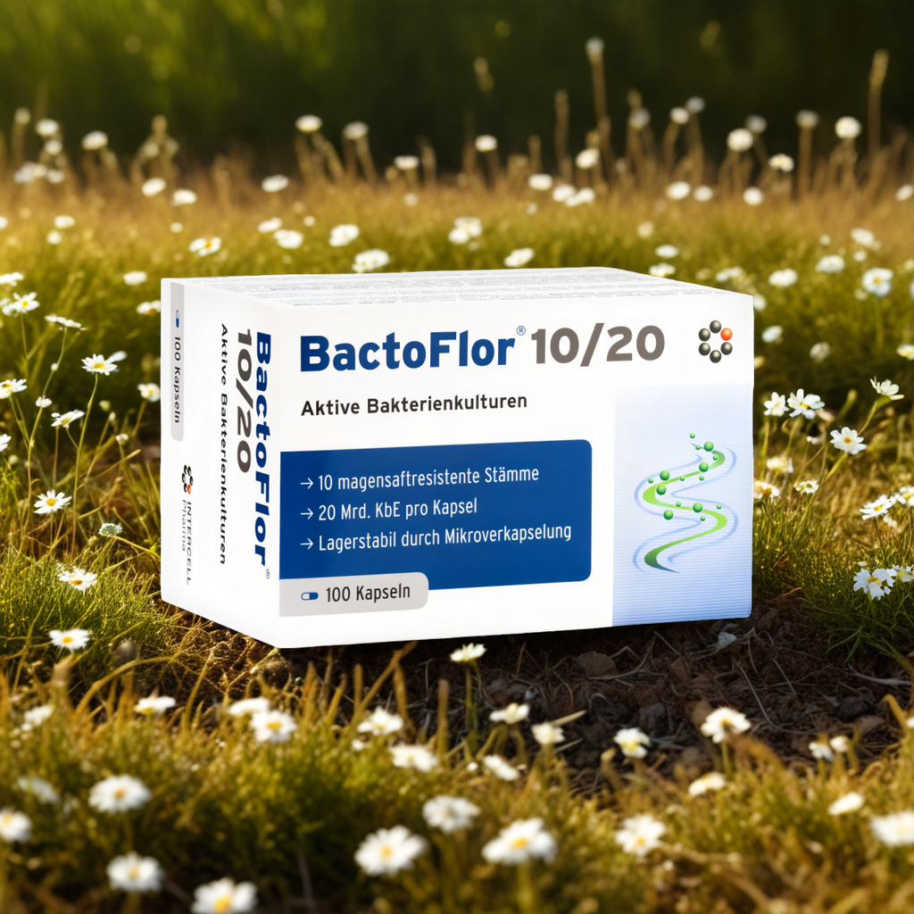 BactoFLOR 10/20 Mitopharma - Kompleks 10 kultur bakterii dla zdrowia jelit - 100 kapsułek