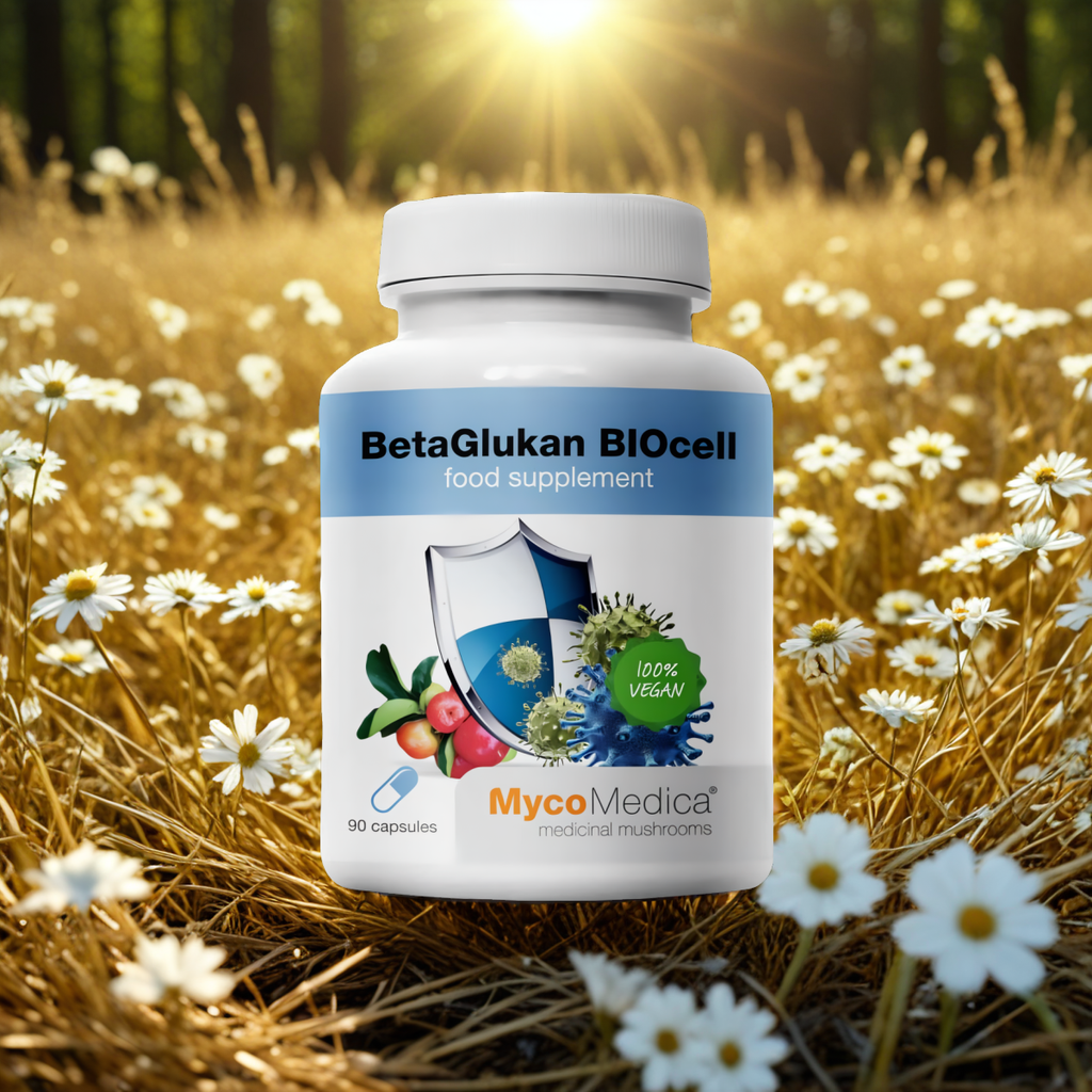 BetaGlukan BIOcell MycoMedica - Wspiera organizm w trakcie leczenia - 90 kapsułek