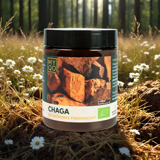 Błyskoporek podkorowy Chaga BIO MYQO 30% w proszku - 100 g