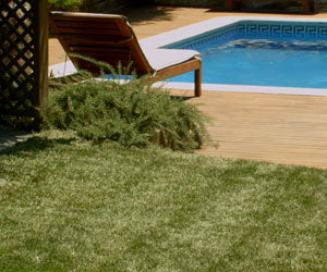 Aquagrazz a 214 PLN