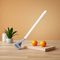 GOLF TOILET BRUSH