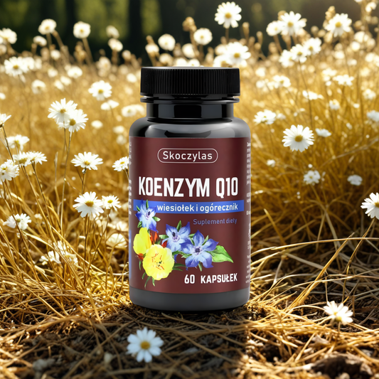 Koenzym Q10 wiesiołek i ogórecznik Skoczylas - 60 kapsułek