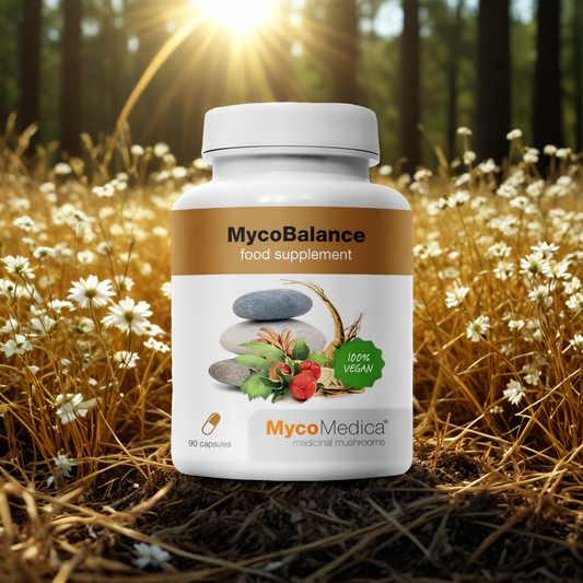 MycoBalance MycoMedica - Wzmacnia odporność i dodaje energii - 90 kapsułek