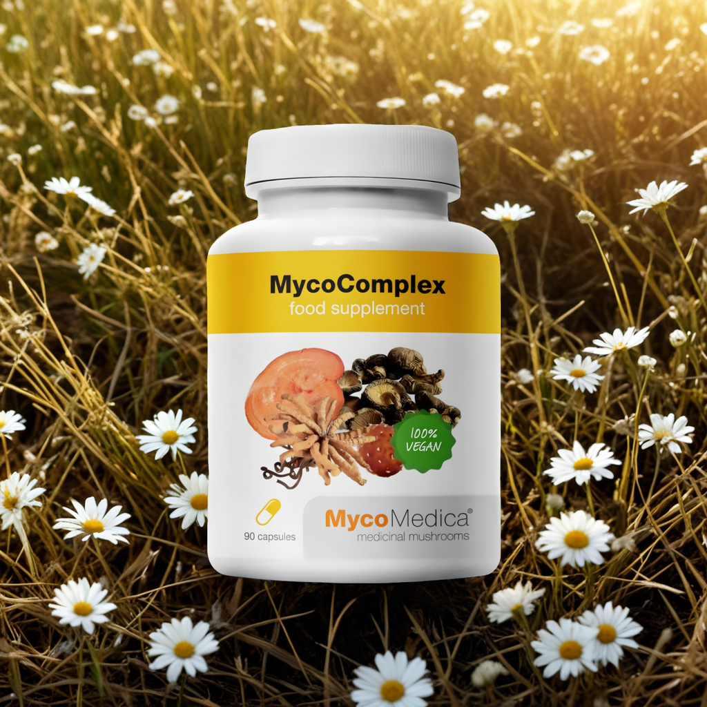 MycoComplex MycoMedica - Wzmacnia naturalny układ odpornościowy - 90 kapsułek