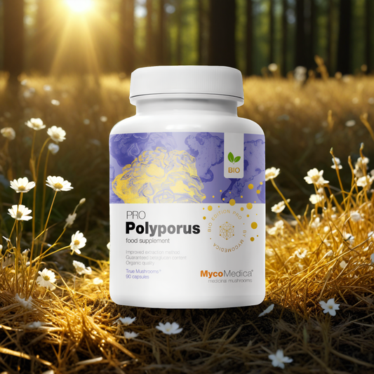 MycoMedica Polyporus PRO 30 % - Żagiew wielogłowa - 90 kapsułek