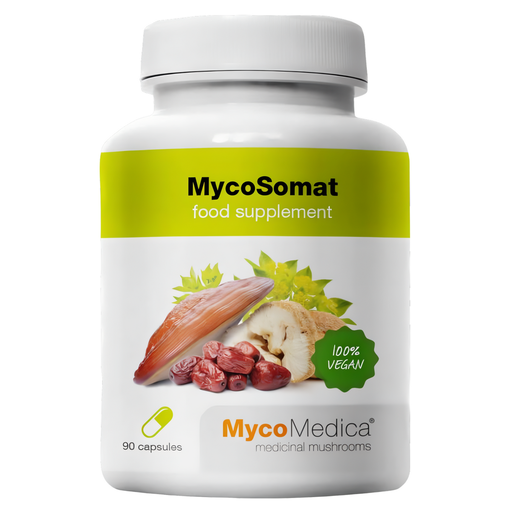 MycoSomat MycoMedica - Pomaga przywrócić równowagę wewnętrzną - 90 kapsułek