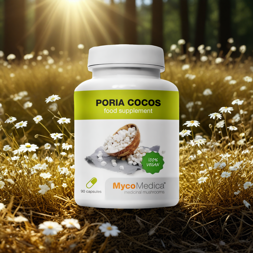 Pornatka kokosowa Poria cocos MycoMedica - Wspomaga układ pokarmowy - 90 kapsułek