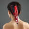 PROFESSIONAL STEAM STRAIGHTENER