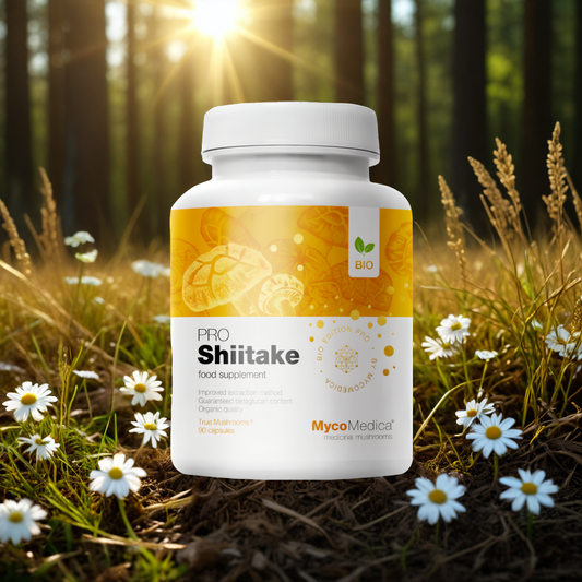Shiitake PRO 35 % MycoMedica - Twardnik japoński - 90 kapsułek