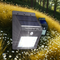 Solarna Lampa LED - Praktyczne rozwiązanie problemu z zewnętrznym oświetleniem