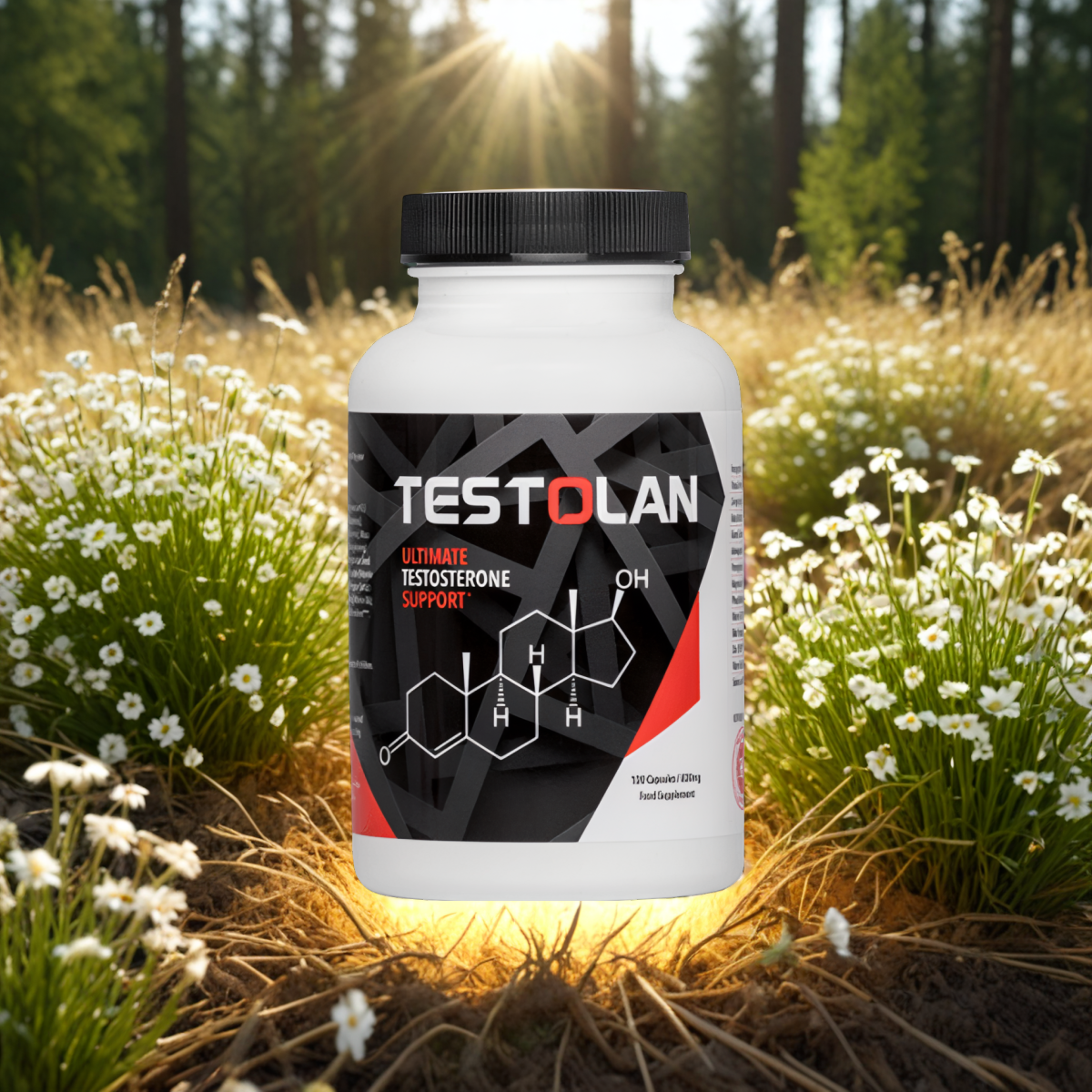 Testolan