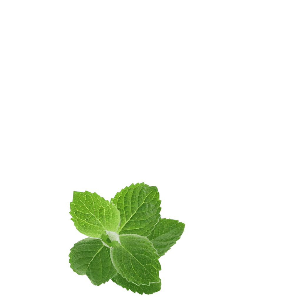 Żel wybielający do zębów Opalescence PF 16% Wszystkie smaki: mięta, melon i neutralny - 4 sztuki (Smak: melon)